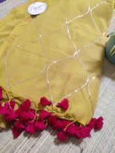 Load image into Gallery viewer, Sitaro ki Jal - Nobin